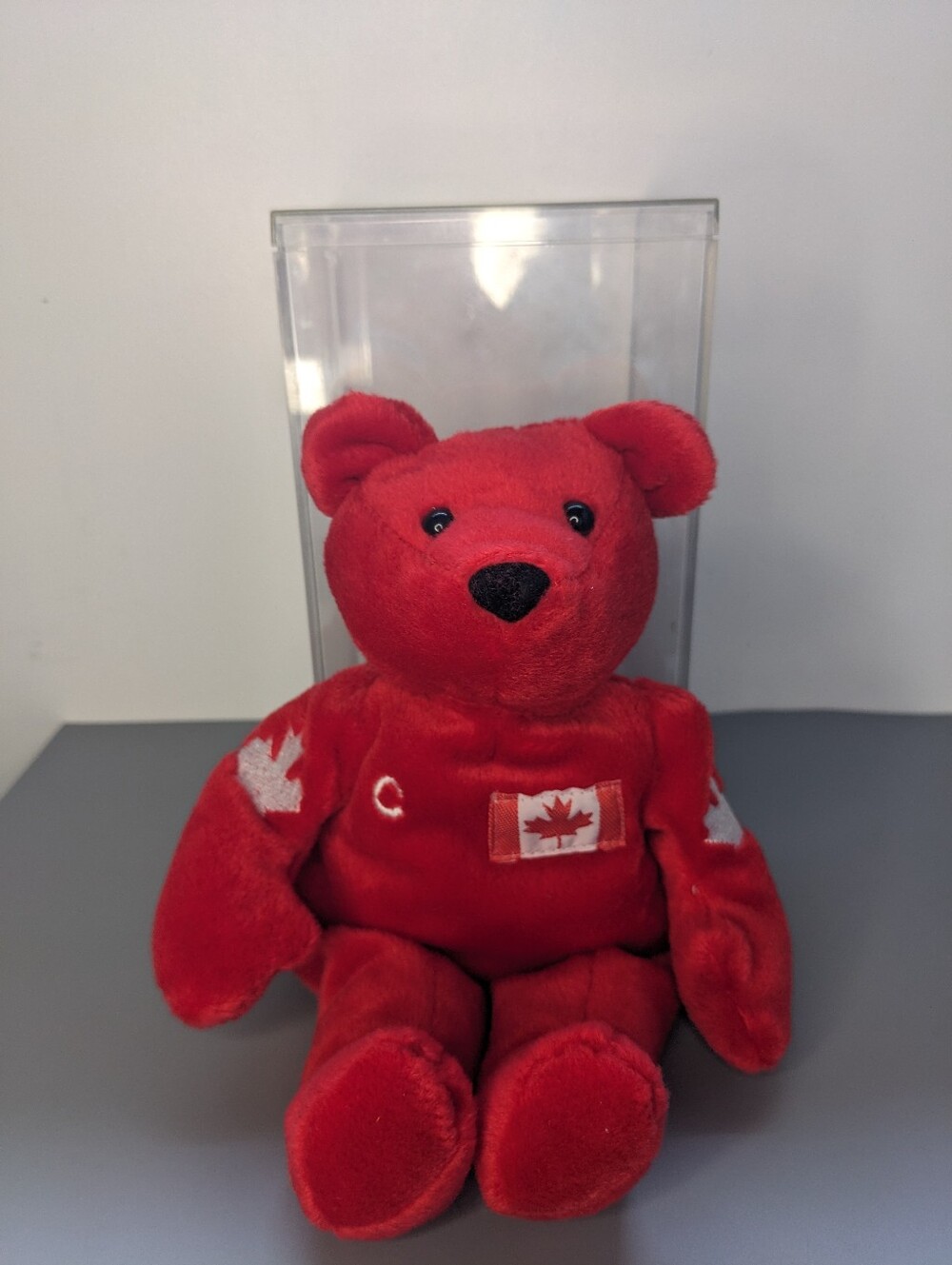 NHLPA Wayne Gretzky Team Canada Beany Bear In Display Case 9" Plush Captain